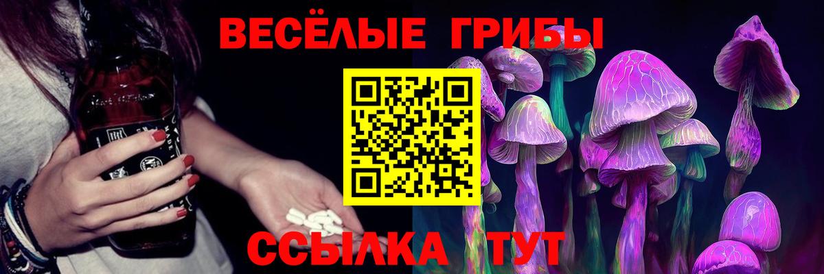 Назрань  Галлюциногенные грибы MAGIC MUSHROOMS  Вход с VPN 